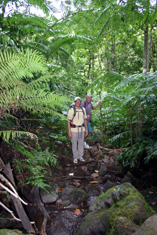 Bruce & Barry lead the way.